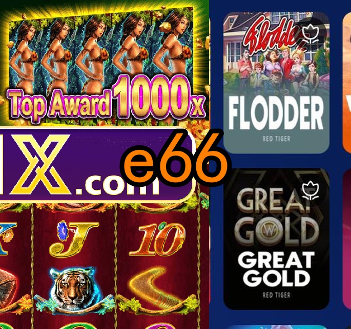 e66.com
